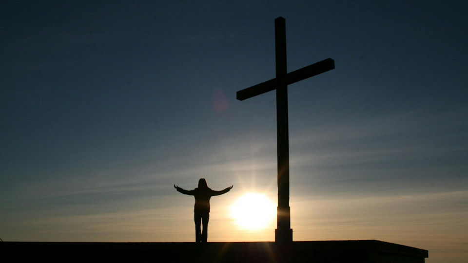 Wholehearted Devotion