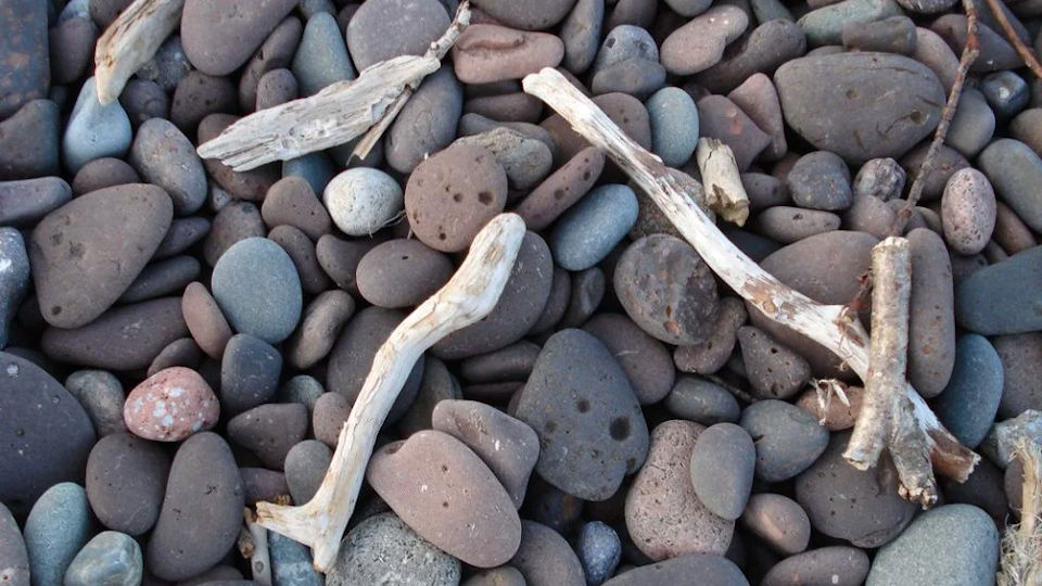 Sticks and Stones